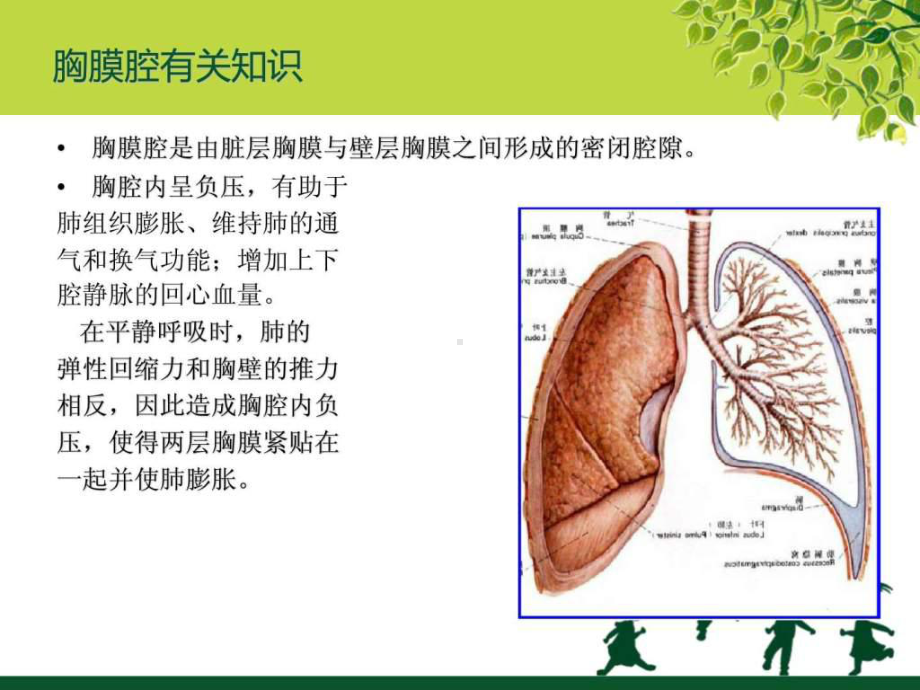 胸腔闭式引流及护理1课件.ppt_第3页