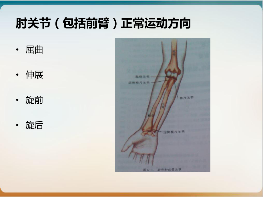 肘关节生物力学参考课件.ppt_第3页