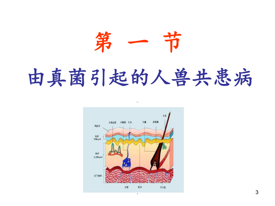 第八章由真菌和寄生虫引起的常见人兽共患病课件.ppt_第3页