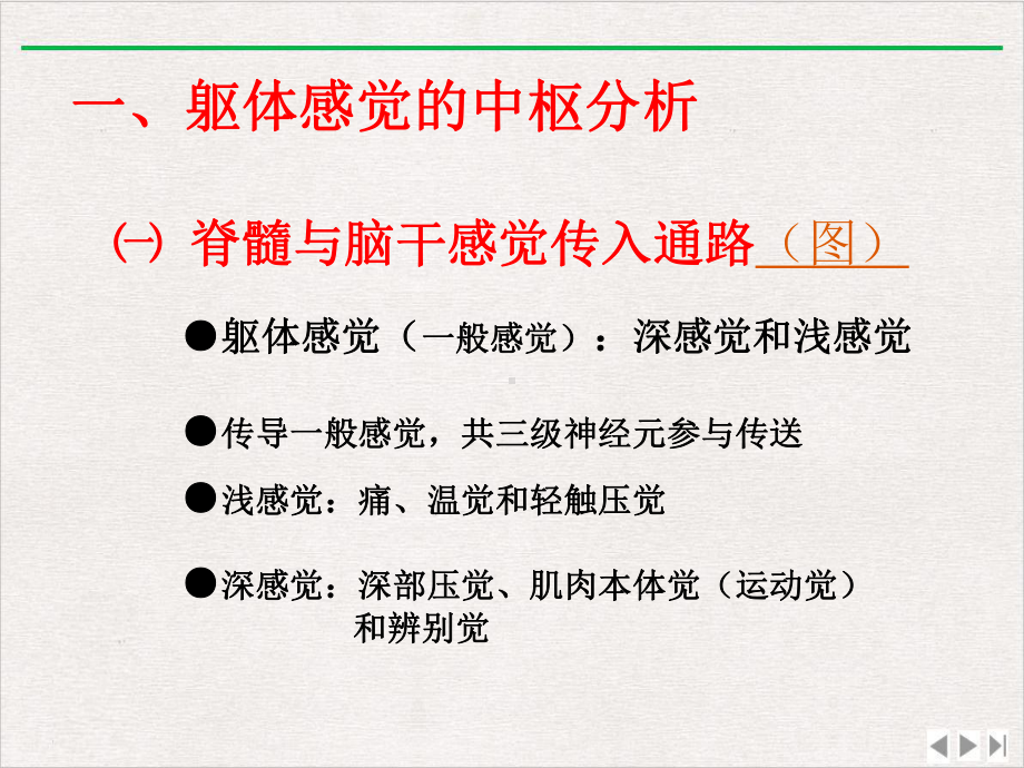 神经系统的功能二课件整理.pptx_第1页