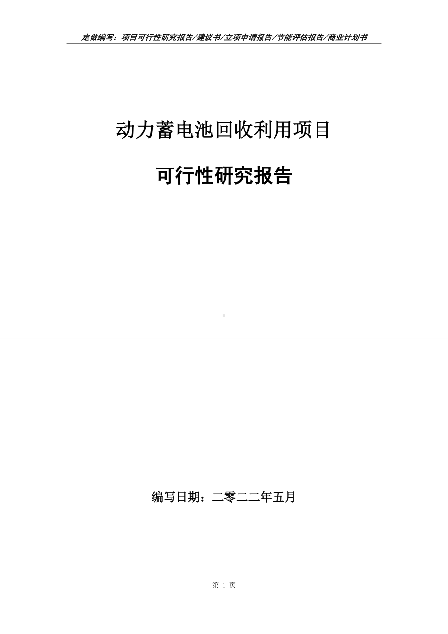 动力蓄电池回收利用项目可行性报告（写作模板）.doc_第1页