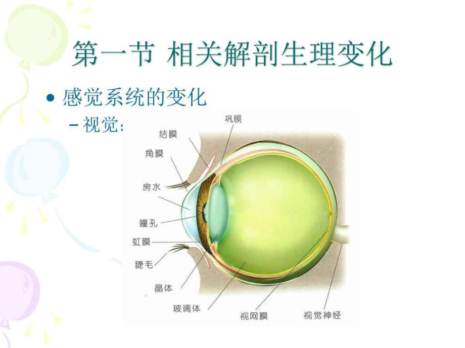 老年人认知与感知护理课件.ppt_第3页