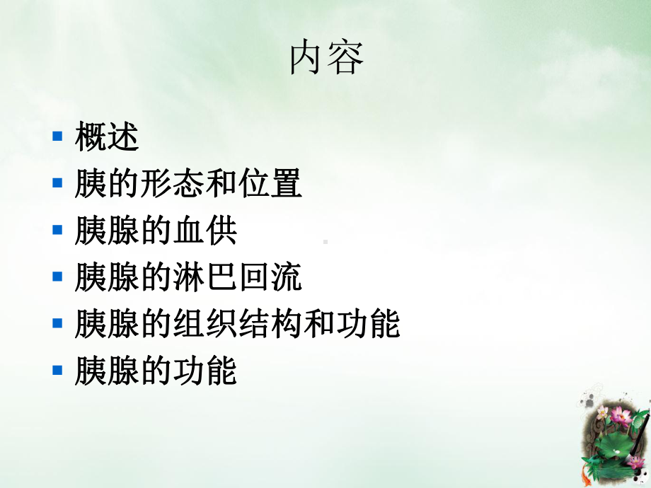 胰腺的基本结构和授课课件.ppt_第2页