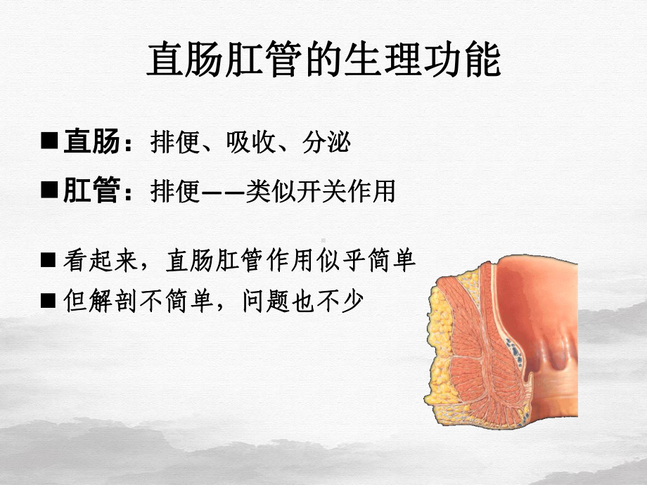 直肠肛管疾病患者的护理课件.pptx_第1页