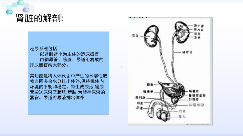 经皮肾镜钬激光碎石手术配合课件精美版.pptx_第2页