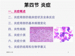 病理学五课件.ppt