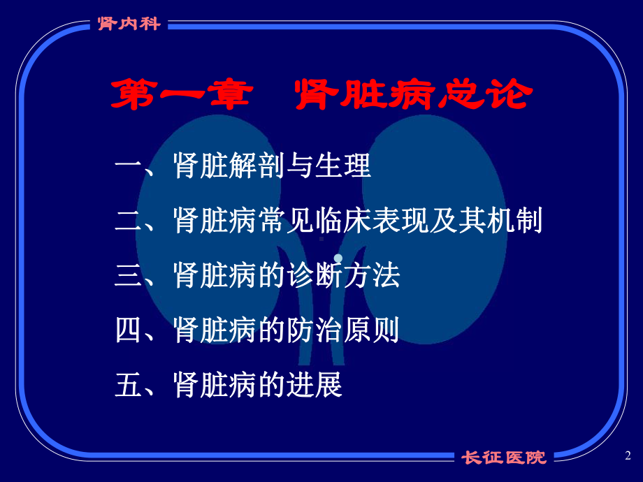 肾病总论和肾炎课件.ppt_第2页