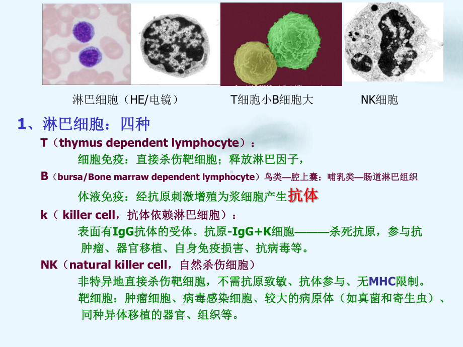 神经免疫调节PPT课件.pptx_第3页