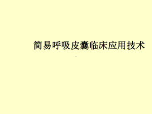 简易呼吸皮囊课件整理.ppt