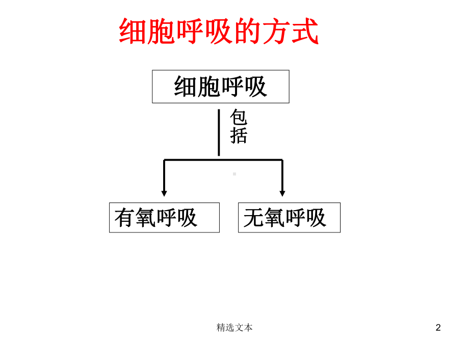 细胞有氧呼吸课件.ppt_第2页