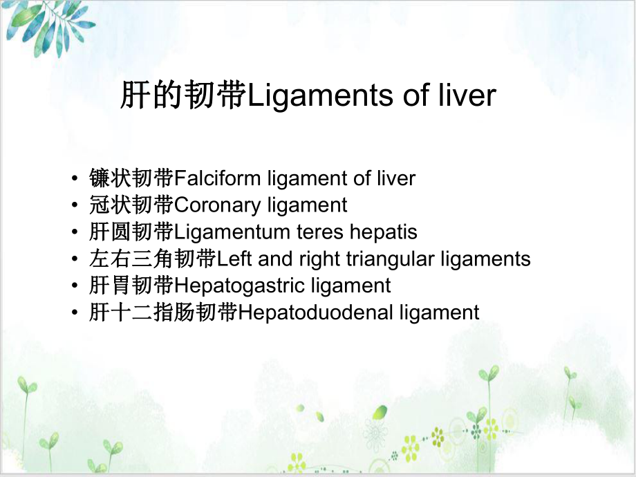 肝脏镰状韧带旁假病灶的CT表现讲课课件.ppt_第3页