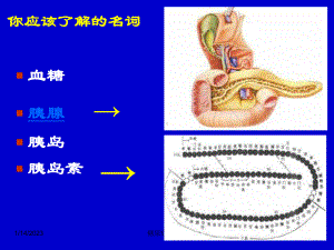 糖尿病的营养治疗课件整理.ppt