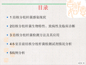 结核杆菌及其诊断实用版课件.pptx