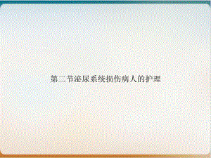 第二节泌尿系统损伤病人的护理课件.ppt