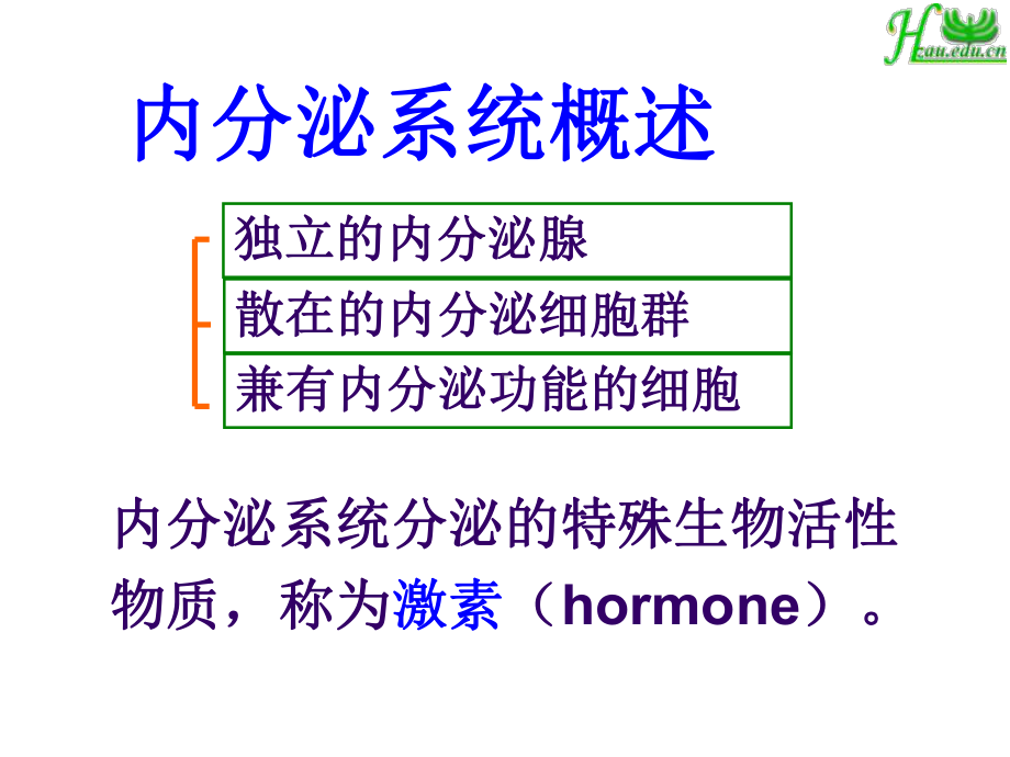 第十一章-内分泌系统2-课件.ppt_第3页