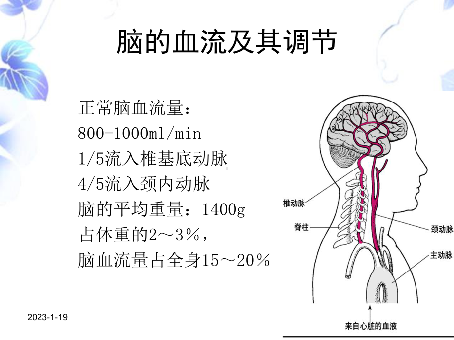 脑血管疾病病人的护理教学课件.ppt_第3页