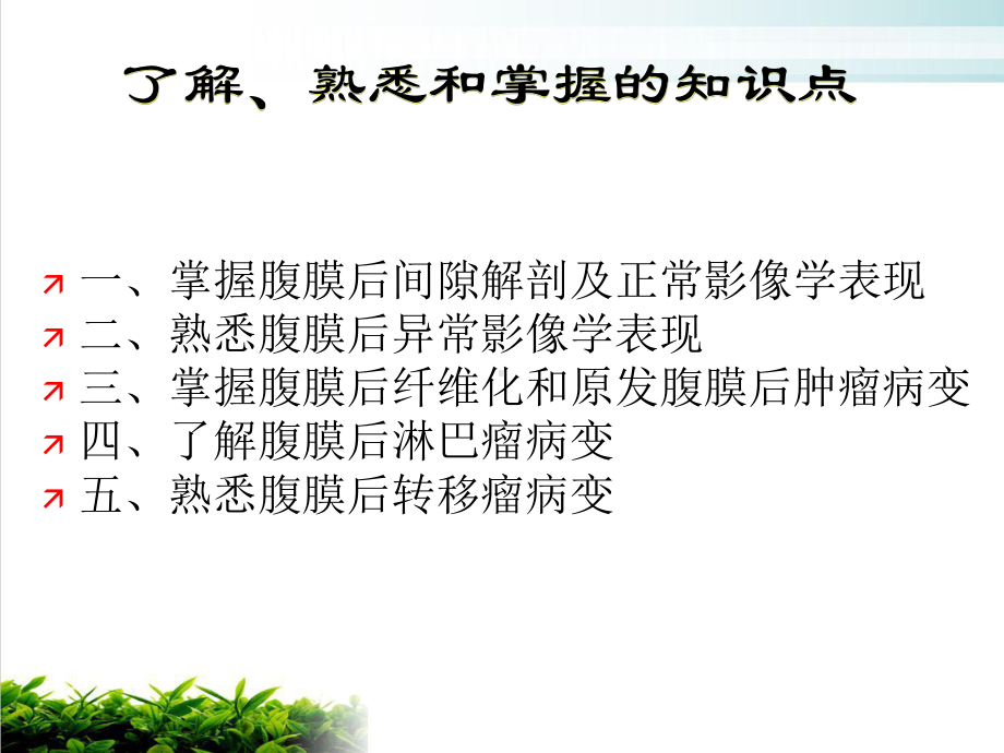 腹膜后间隙影像解剖讲课课件.ppt_第3页