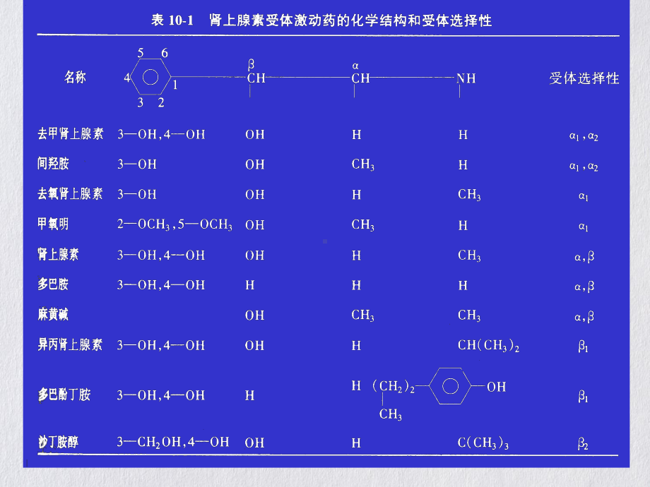 第四节肾上腺受体激动药优质讲课课件.ppt_第3页