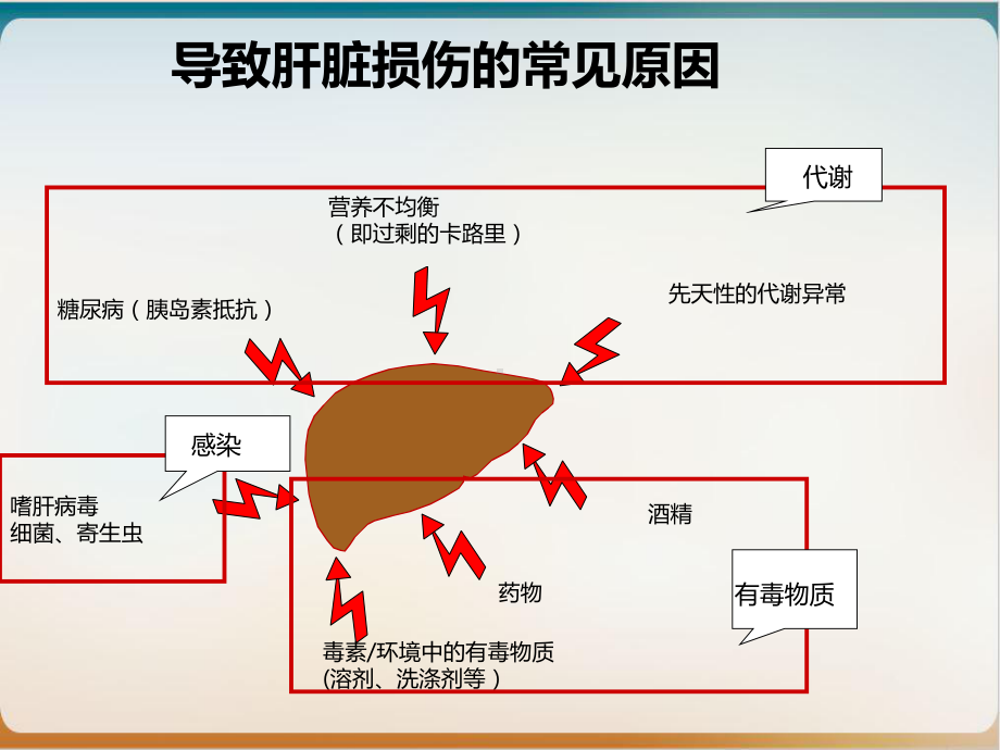 肝脏炎症控制及保肝药合理使用培训课程课件.ppt_第3页