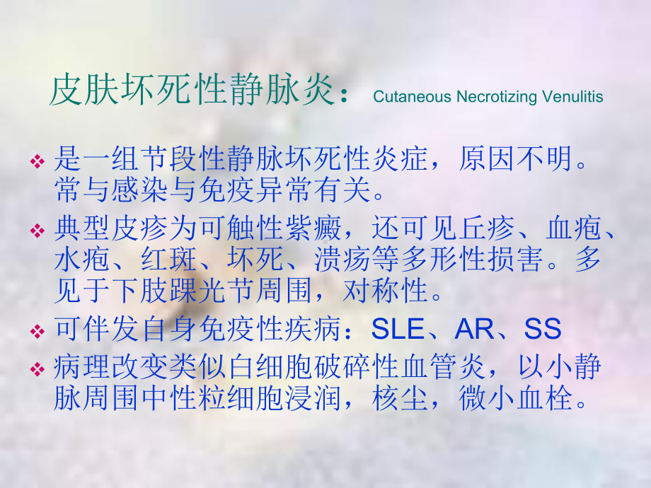 皮肤典型疾病病理课件.ppt_第3页