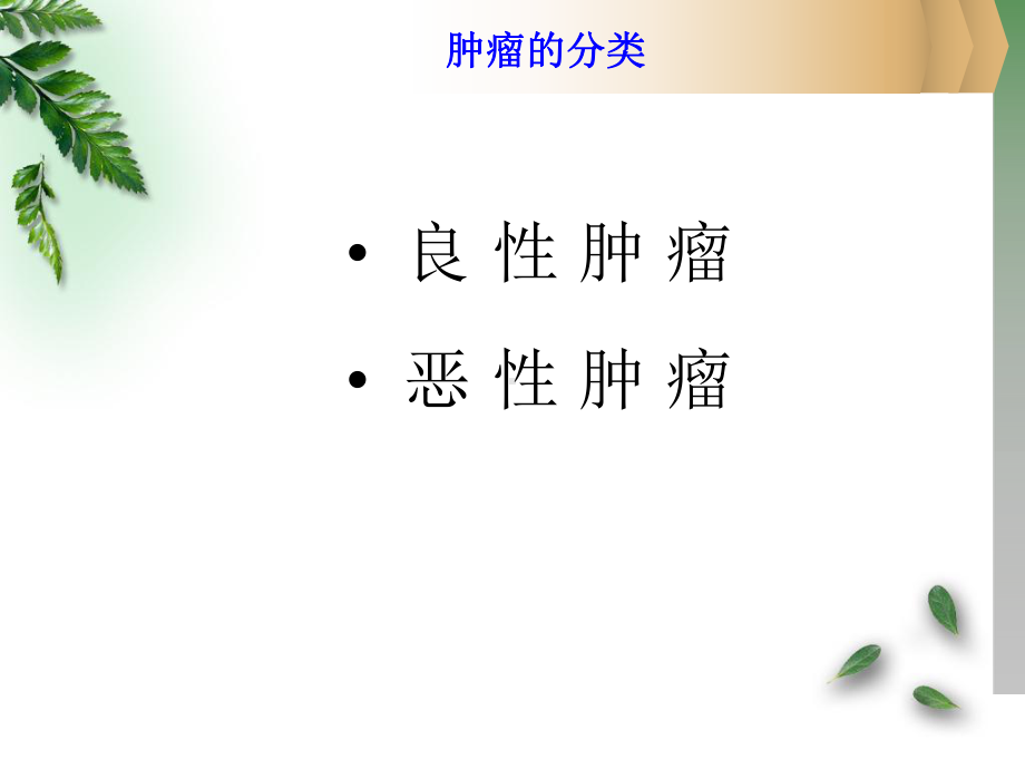 第六讲肿瘤的膳食营养防治课件.ppt_第3页