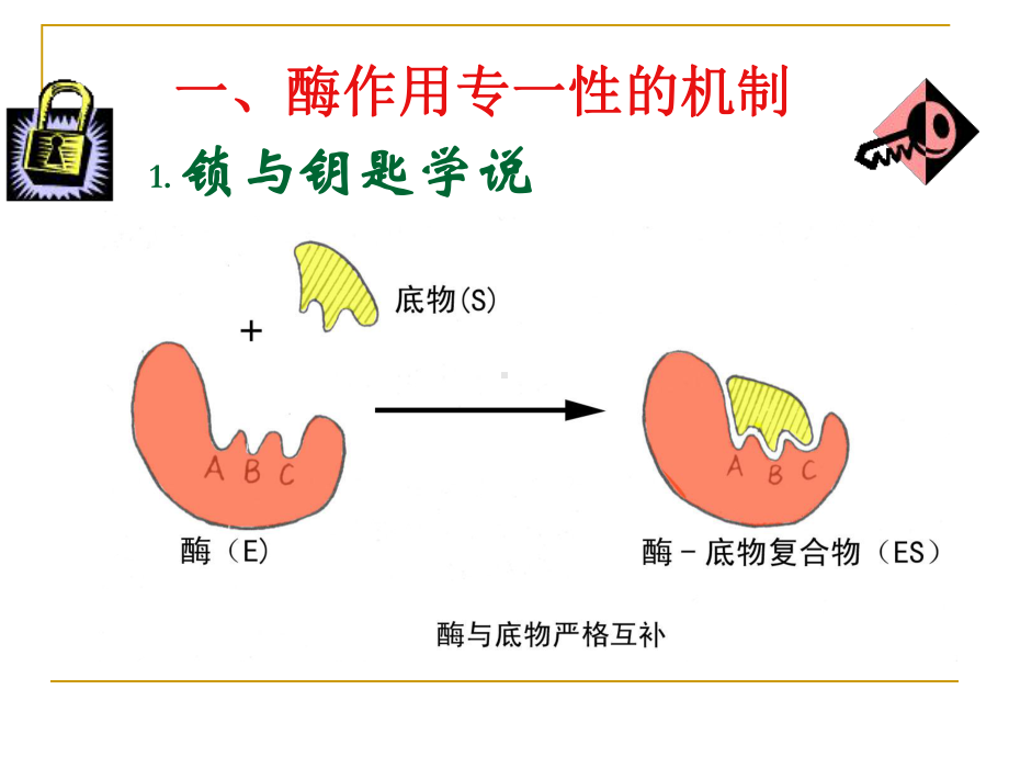 细胞代谢-人教课标版课件.ppt_第2页