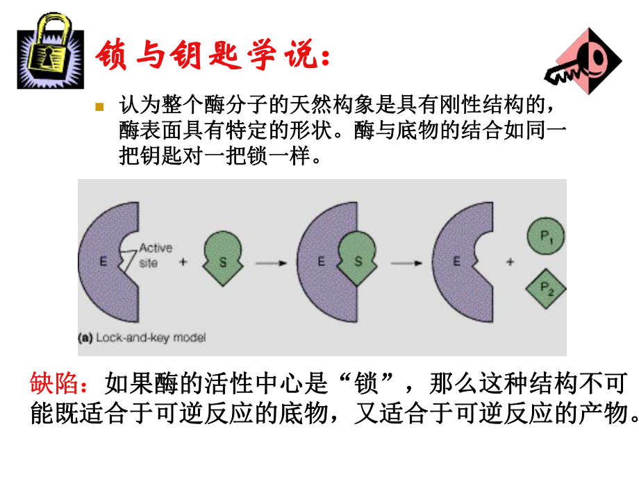 细胞代谢-人教课标版课件.ppt_第3页