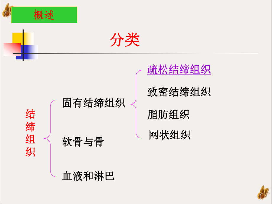 结缔组织级本科法医与护理课件.pptx_第3页