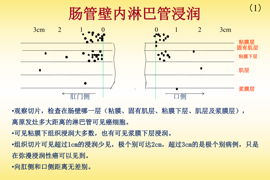 结肠直肠淋巴流向课件.pptx_第1页