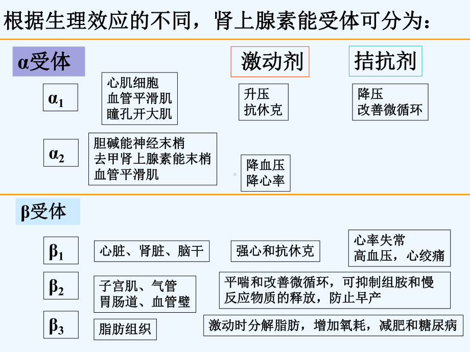 肾上腺素受体激动药和阻断药-课件.ppt_第2页