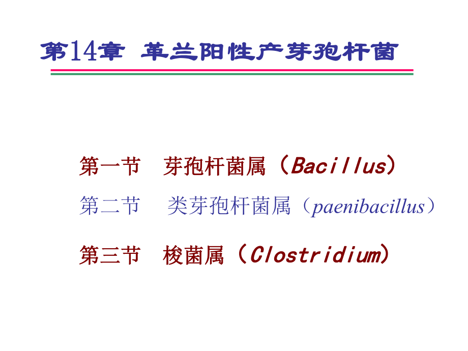 第14章-革兰阳性产芽孢杆菌课件.ppt_第1页