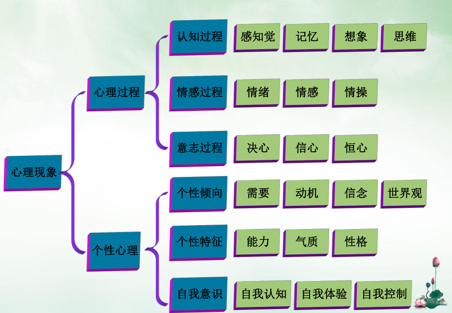 精神障碍的症状学本优质讲课课件.ppt_第2页