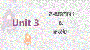 2022新人教版八年级上册《英语》期末语法复习ppt课件 选择问句感叹句.pptx