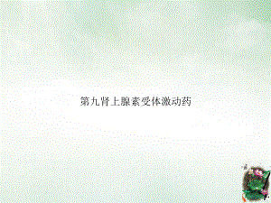 第九肾上腺素受体激动药优质讲课课件.ppt