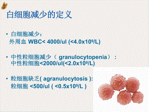 白细胞减少症药物治疗教学课件.pptx