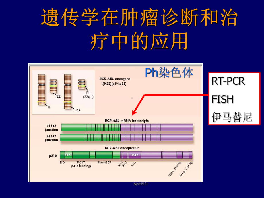 表观遗传学修饰在肿瘤诊断和治疗中的应用课件.ppt_第2页