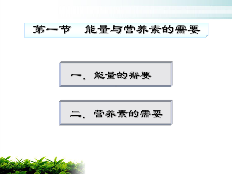 营养与营养紊乱患儿的护理示范课件.ppt_第3页