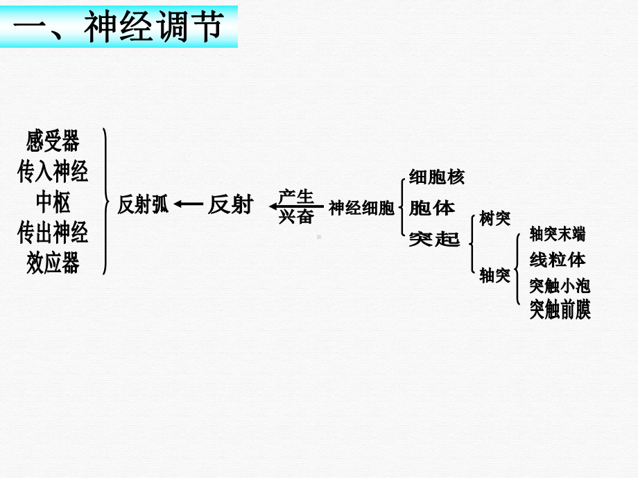 神经体液免疫调节课件.ppt_第3页