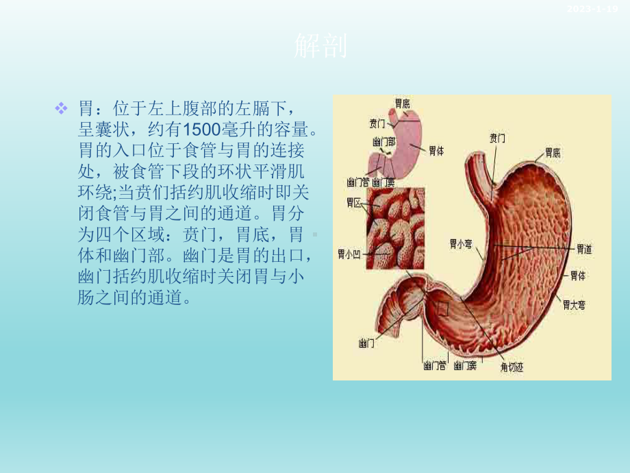 腹腔镜胃癌根治术的手术配合课件.ppt_第2页