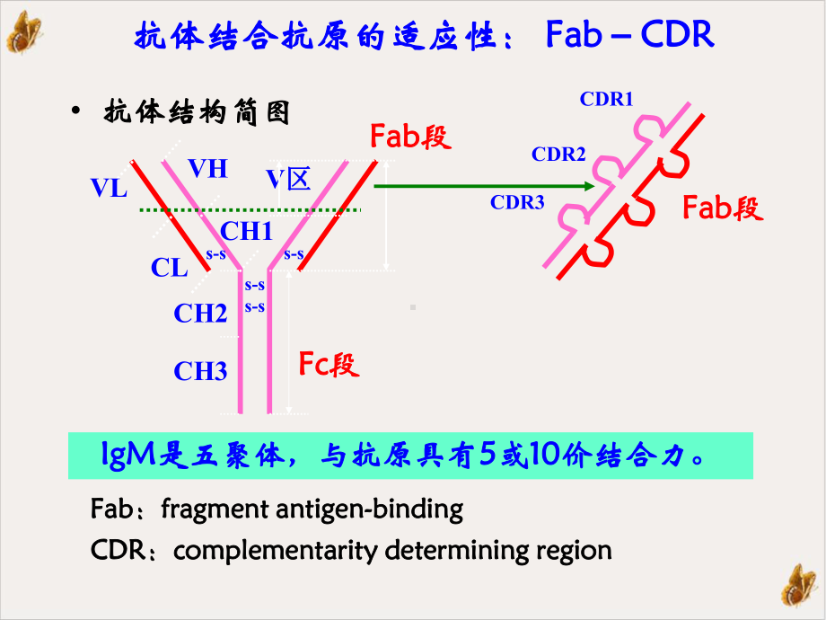 病毒性肝炎血清学检测的基础与实践教材课件.pptx_第3页