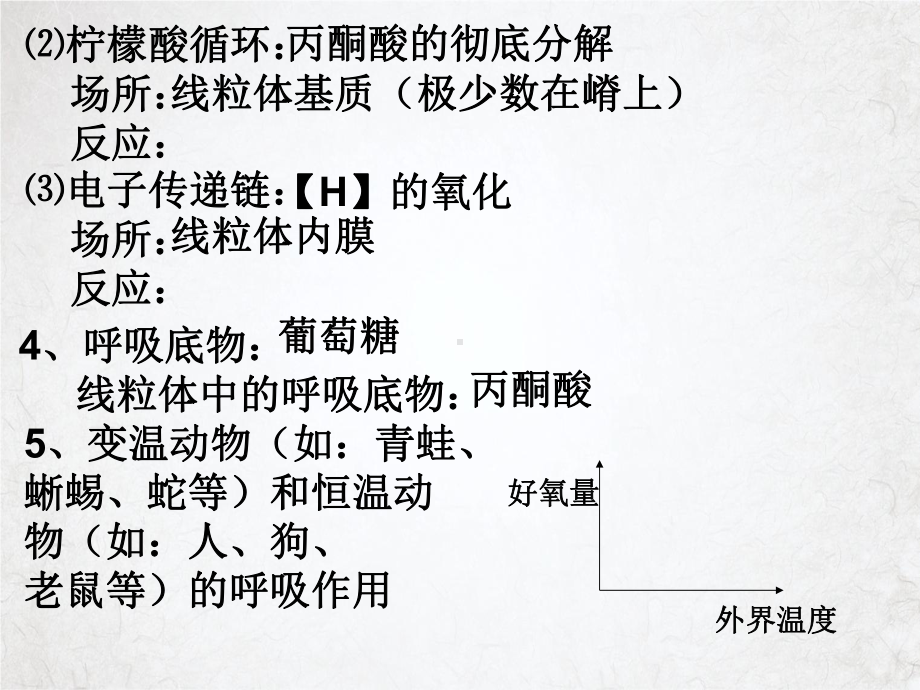 第三讲细胞呼吸优质授课课件.ppt_第3页