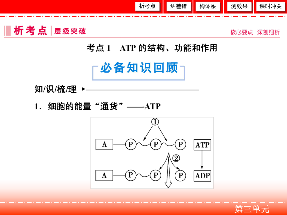 第三单元-第2讲-ATP与细胞呼吸课件.ppt_第3页