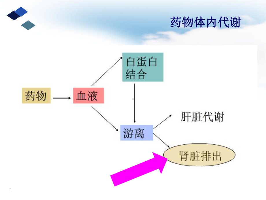 肾功能减退患者抗菌药物的调整-加实例-课件.ppt_第3页