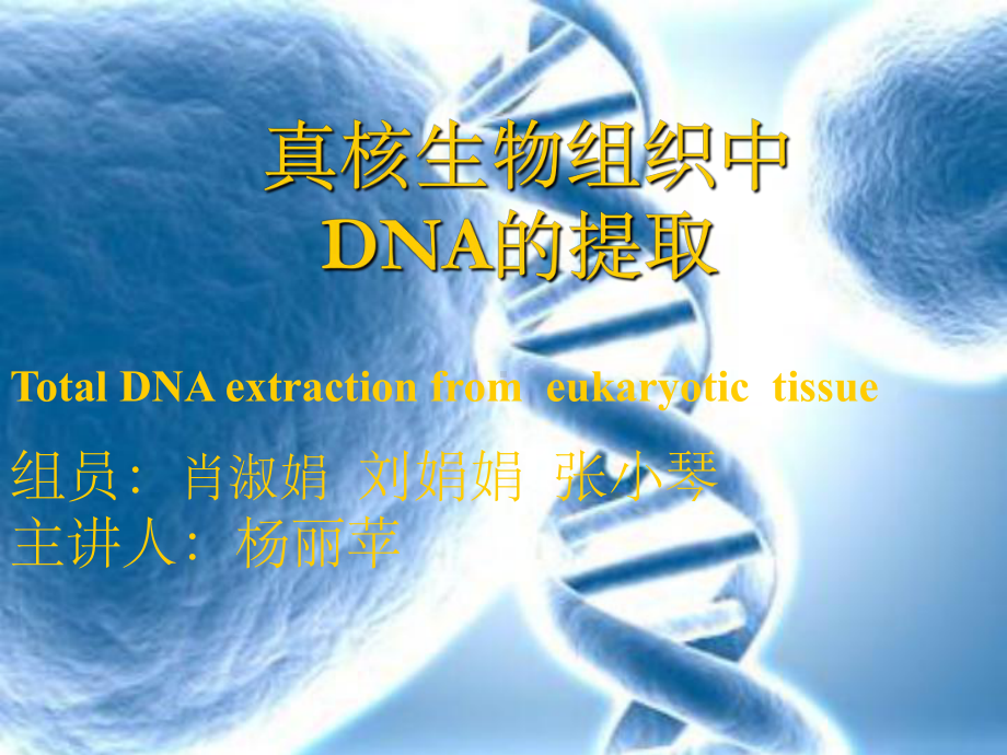 设计生物化学实验动物组织DNA的提取课件.ppt_第1页