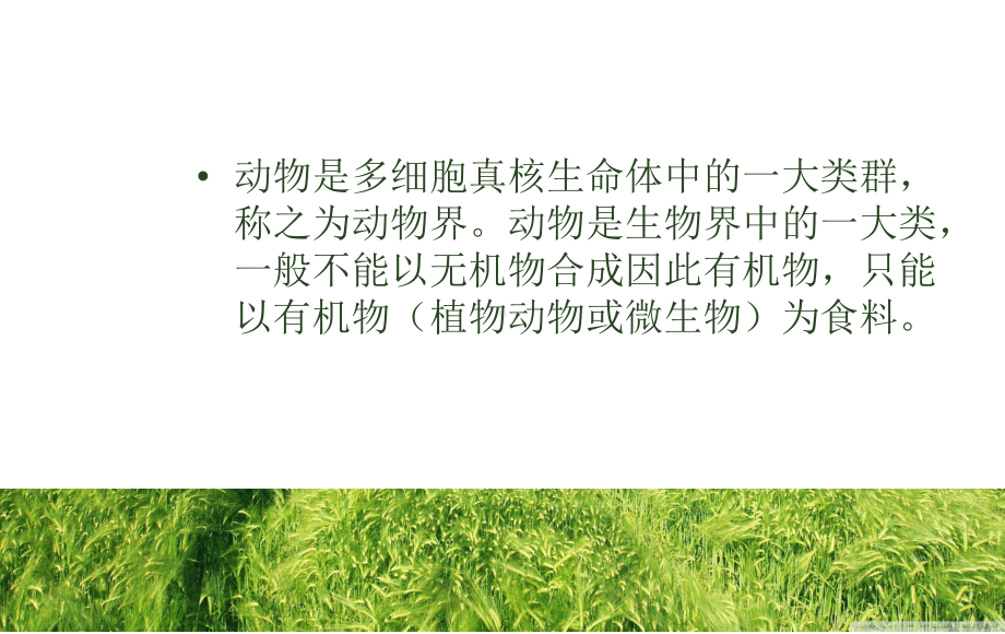 百科常识-动植物-pt课件.ppt_第2页