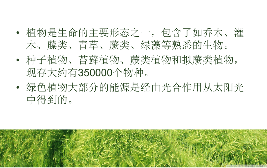 百科常识-动植物-pt课件.ppt_第3页