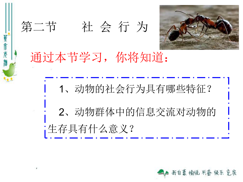 第三节-社会行为(应用)课件.ppt_第2页