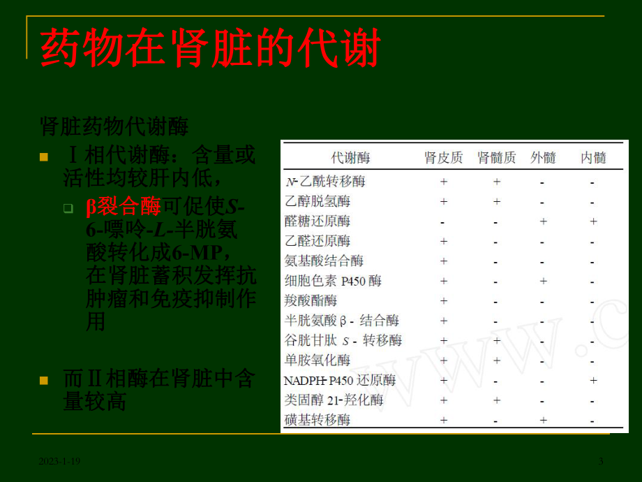 药物与肾脏(泌尿整合)课件.ppt_第3页