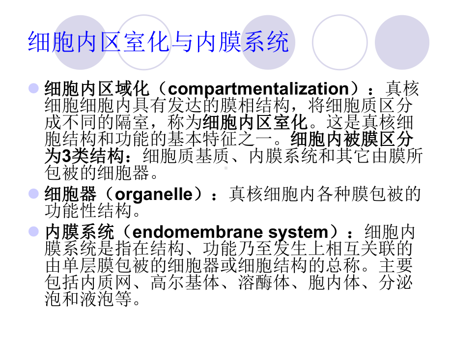 细胞质基质与内膜系统课件.ppt_第2页