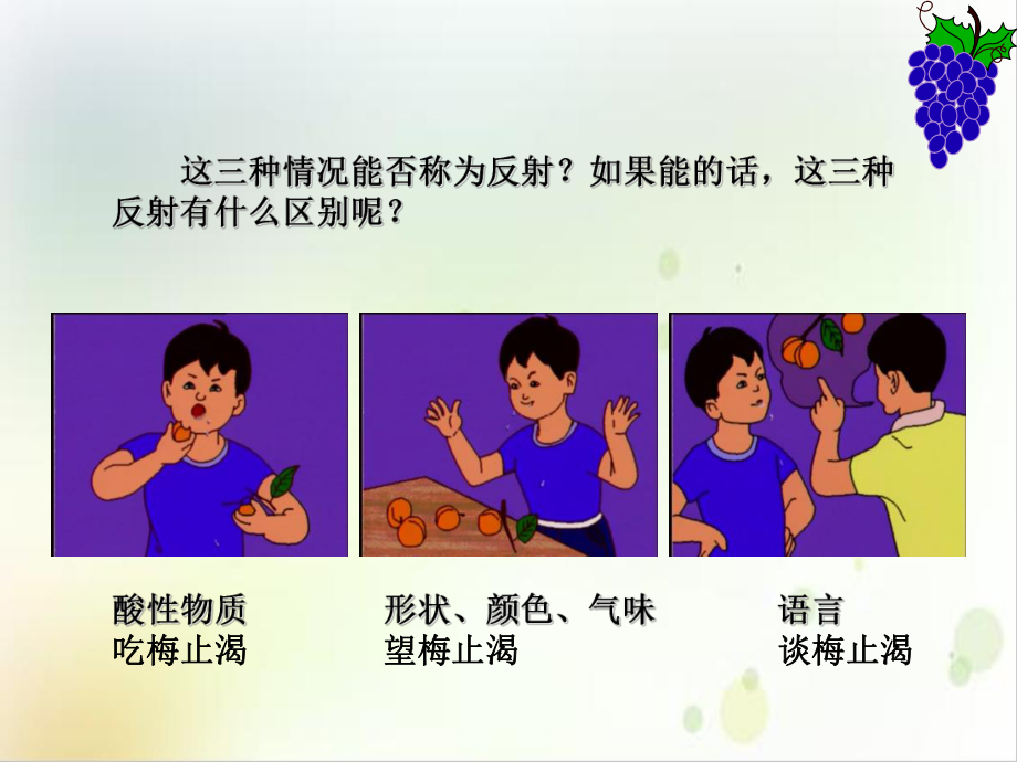 神经系统与神经调三课时培训讲义课件.ppt_第3页